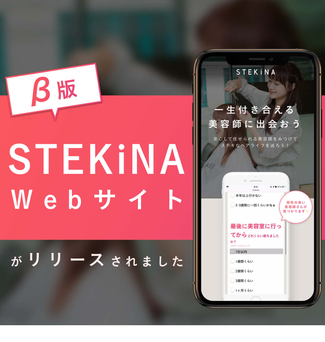 STEKiNA Webサイト(β版)がリリースされました